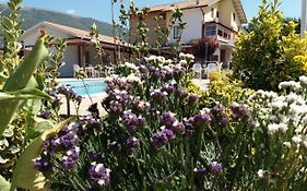 Bed & Breakfast Ciancaleoni